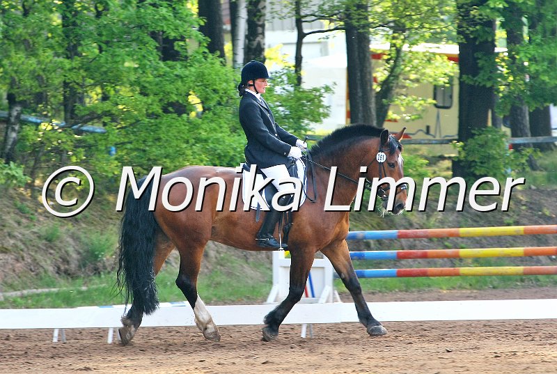 104M5110_Aaron_Dressur E_e.JPG